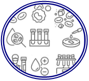 Laboratórios (Exame Sangue)